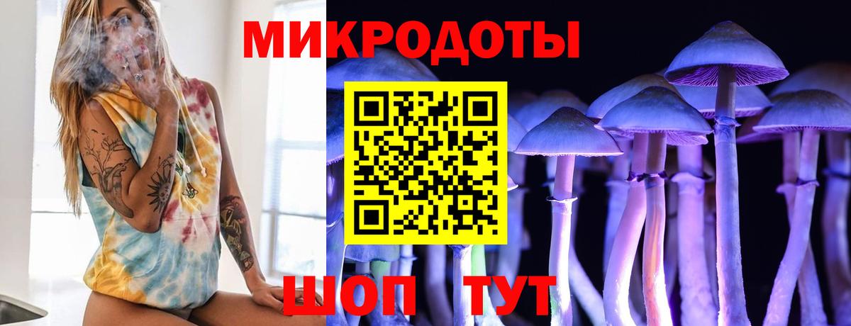 Псилоцибиновые грибы Cubensis Тавда